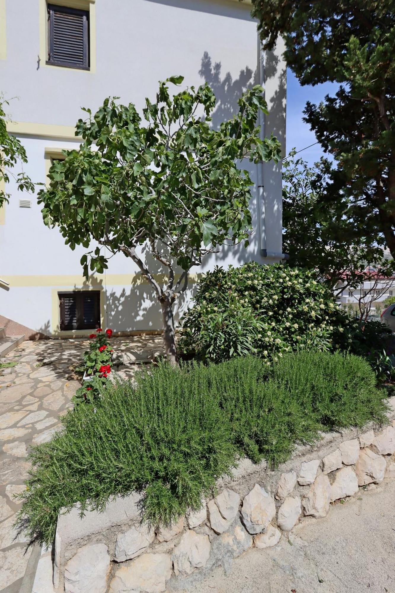 Apartments With A Parking Space Pag - 18345 Паг Екстериор снимка
